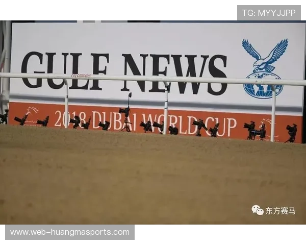 草皮维护技术升级，暴雪天比赛条件保障